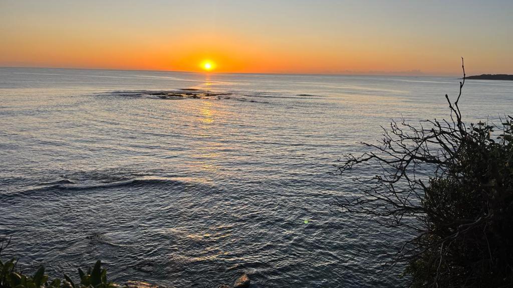 Beachside Apartment Blackwoods Beach Cronulla Esterno foto